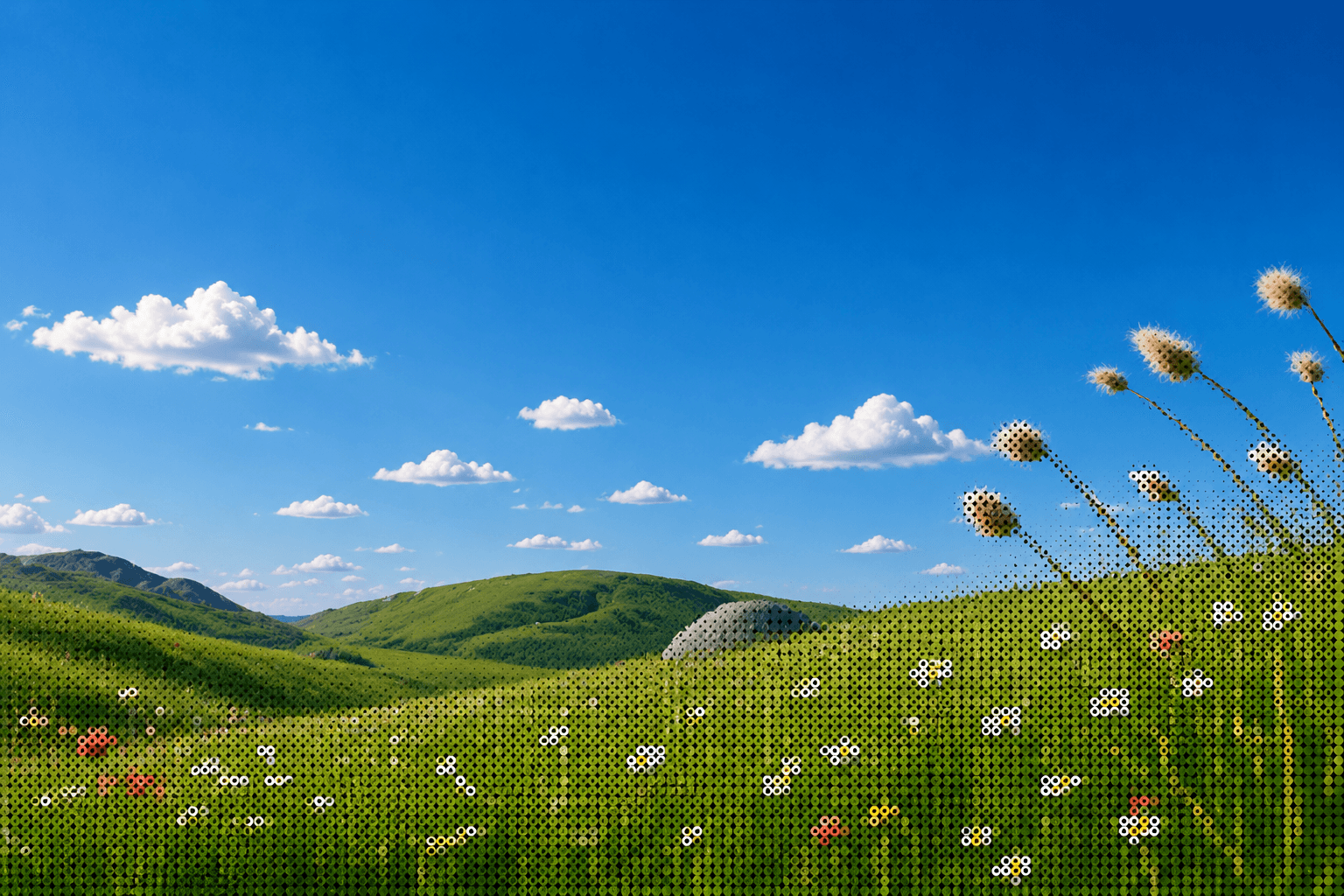 Paysage de collines verdoyantes sous un ciel bleu